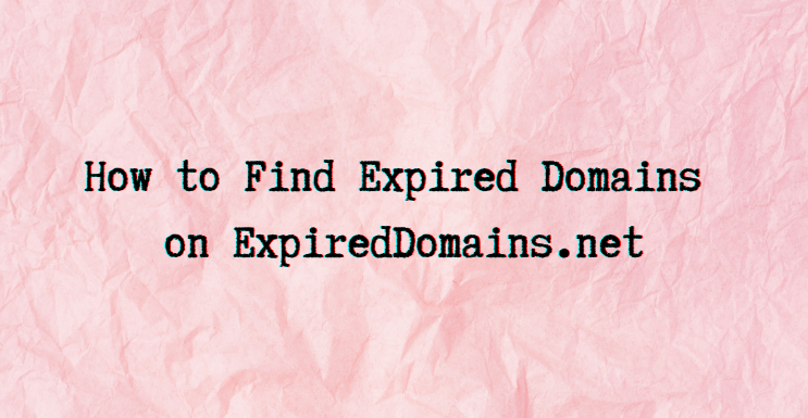 A Guide on How to Find Expired Domains on Expireddomains.net